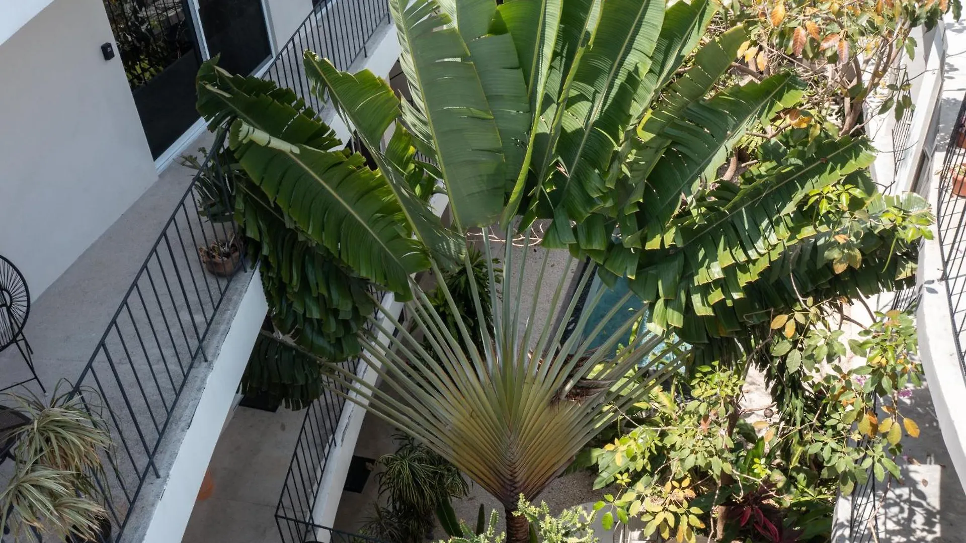 Apartment Habanero Suites & Garden Playa del Carmen